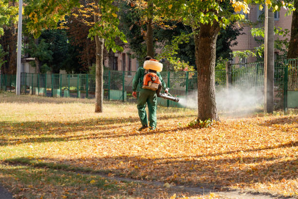 Bird Control in Westerville, OH