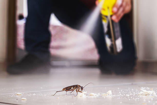 Trusted Westerville, OH Pest Control Experts